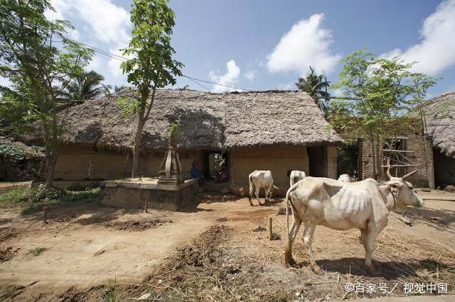 环境部再次明确禁止一刀切！散乱污重点严查，3万人查80城到明年